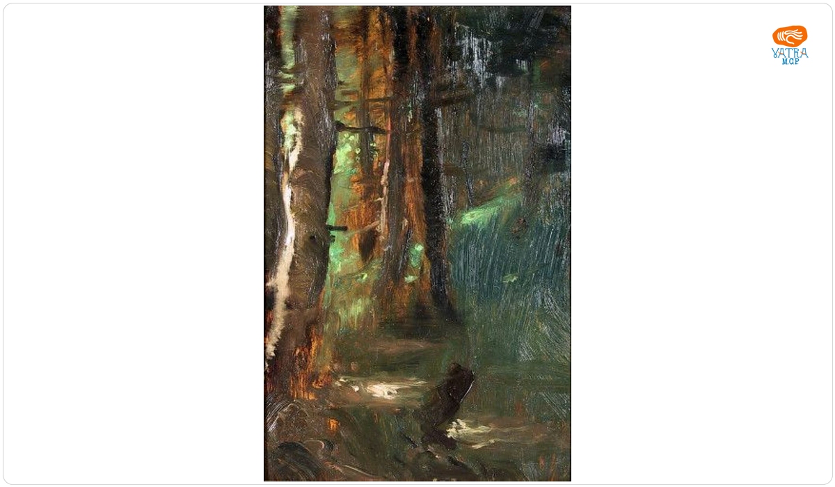 Pădure de brazi