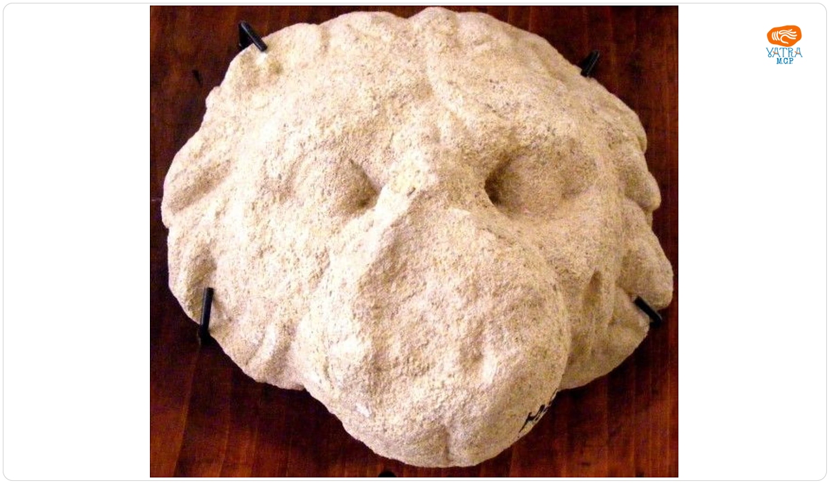 Bătător de ușă