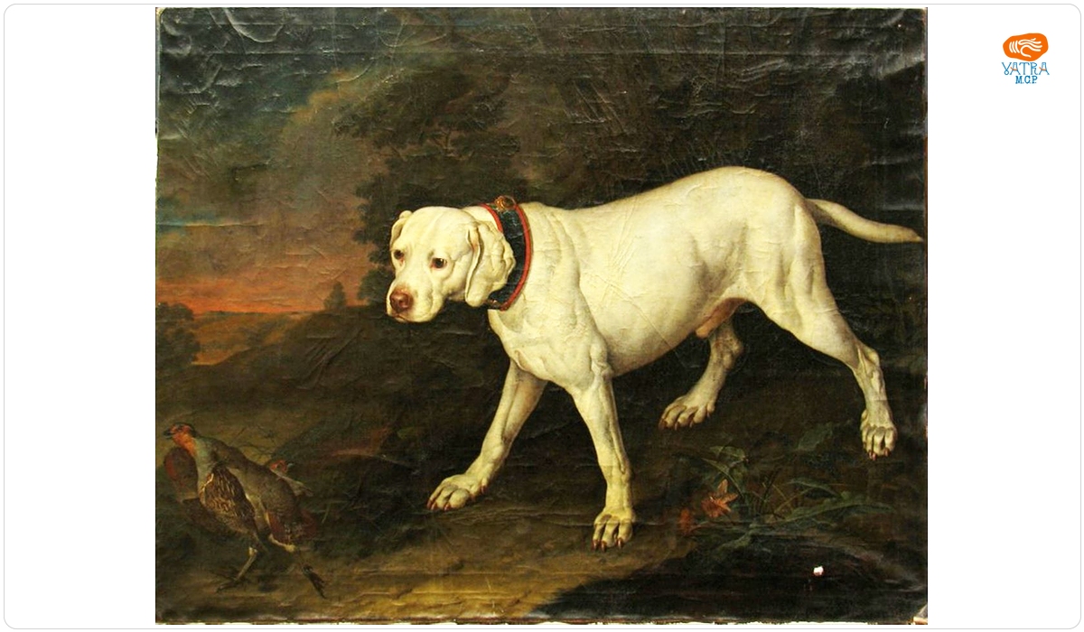 Philipp Ferdinand Hamilton — Prepelicar alb; pandant: Prepelicar brun