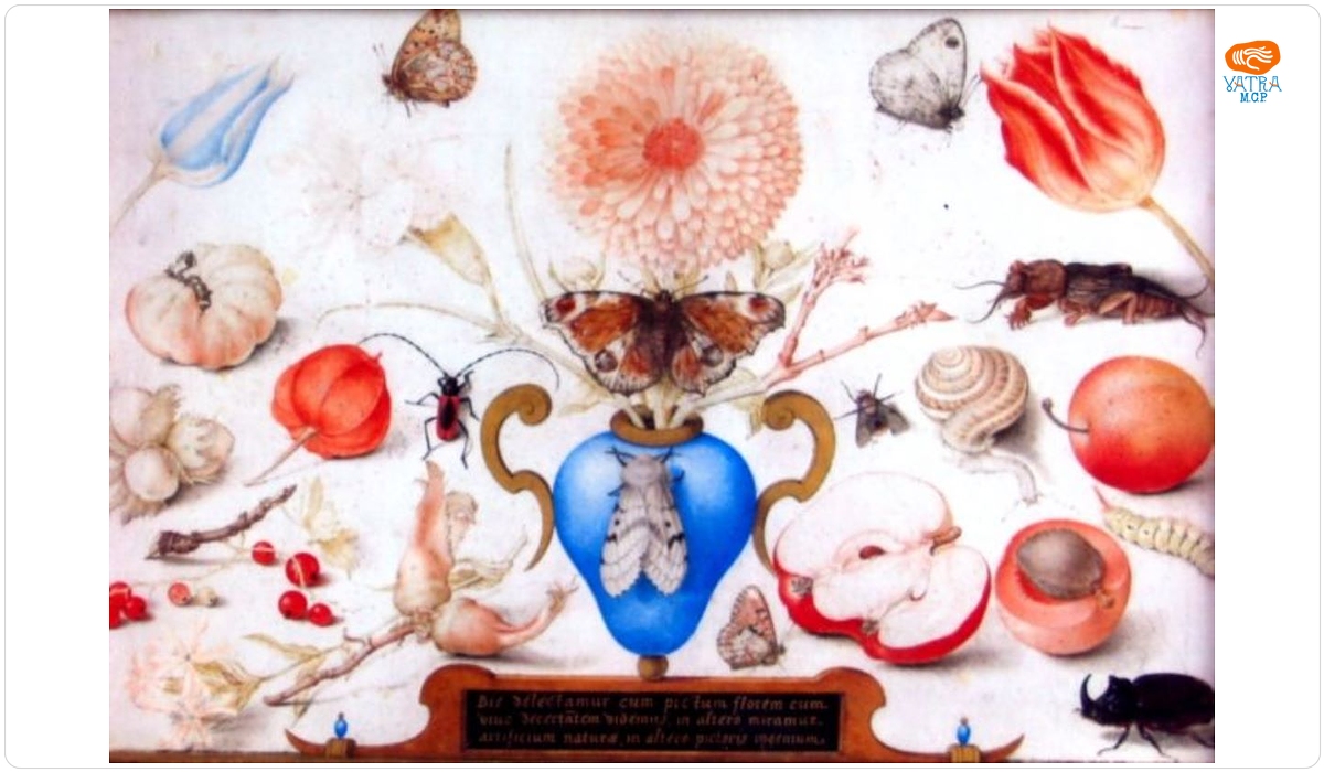 Joris Hoefnagel — Natură moartă cu melc