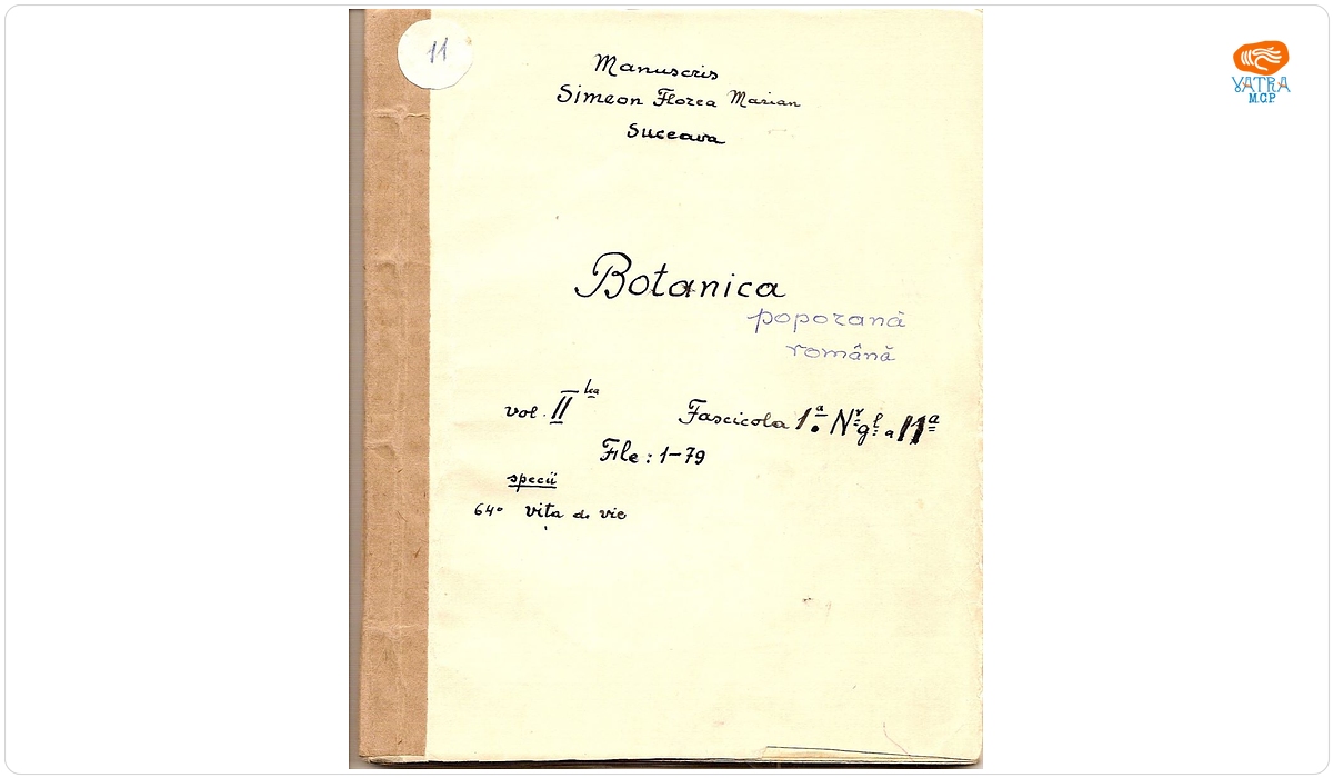 Botanica poporană română (vol. II, fasc. 1); Specii: Vița de vie
