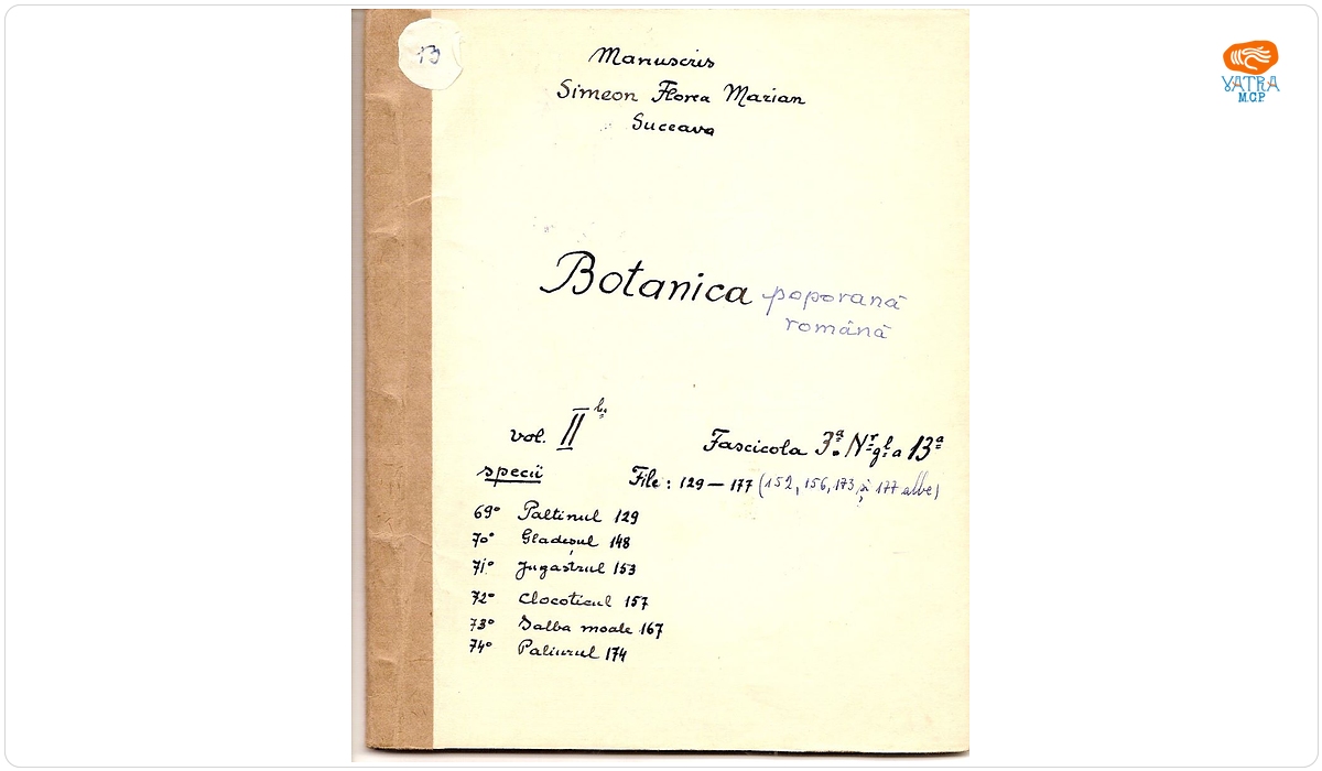 Botanica poporană română (vol. II, fasc. 3); Specii: Paltinul, Gladeșul, Jugastrul, Clocoticul, Salba moale, Paliurul