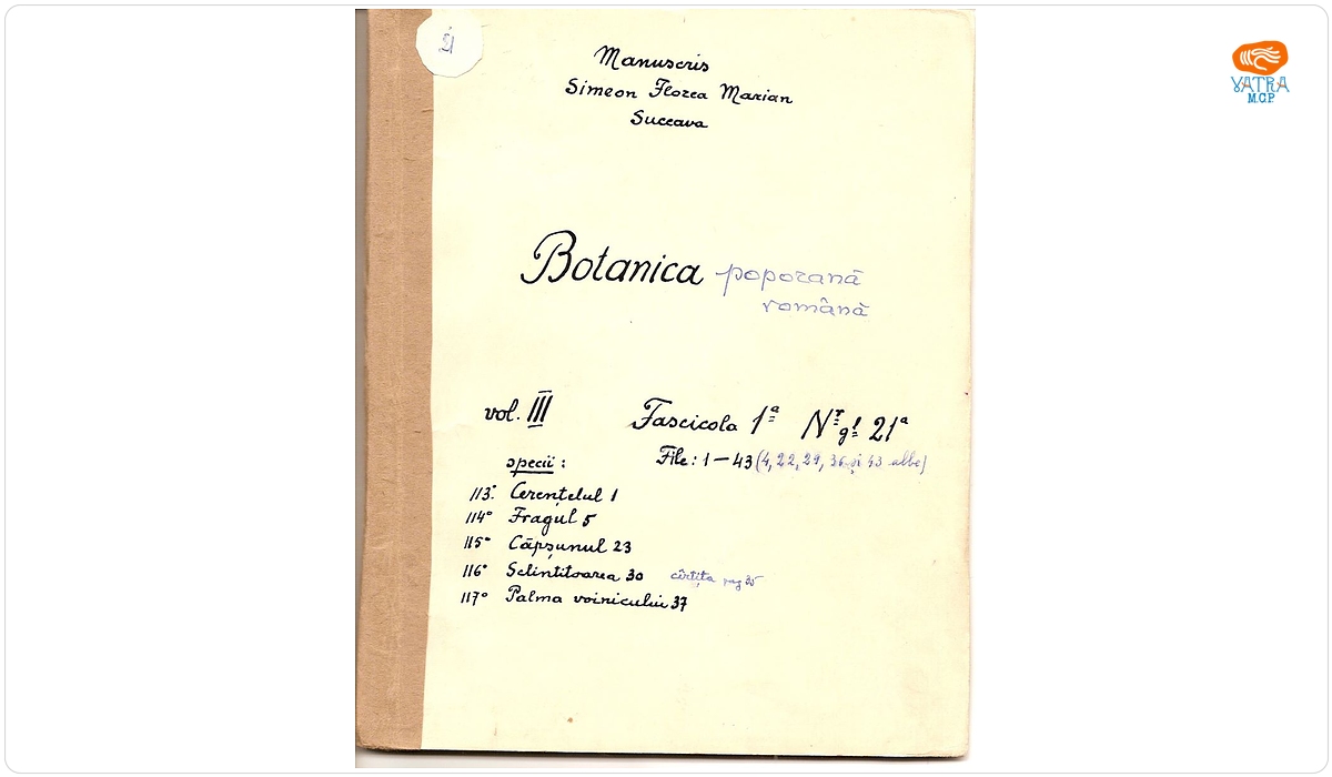 Botanica poporană română (vol. III, fasc. 1); Specii: Cerențelul, Fragul, Căpșunul, Sclintitoarea, Palma Voinicului