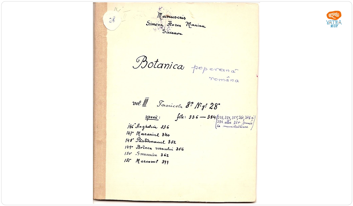 Botanica poporană română (vol. III, fasc. 8); Specii: Anghelica, Marariul, Păstârnacul, Brânca ursului, Smeoaica, Morcovul