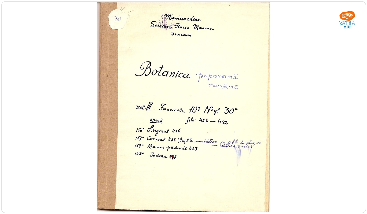 Botanica poporană română (vol. III, fasc. 10); Specii: Sîngerul, Cornul, Mama pădurii, Iedera