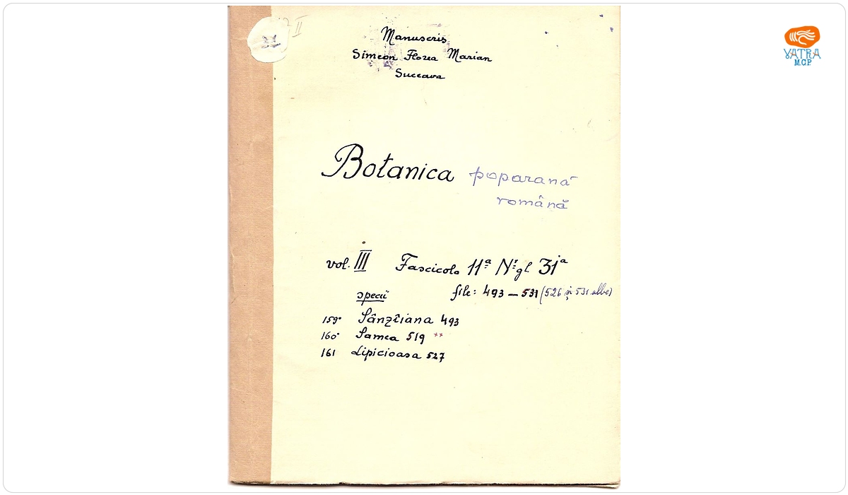 Botanica poporană română (vol. III, fasc. 11); Specii: Sânziana, Samca, Lipicioasa