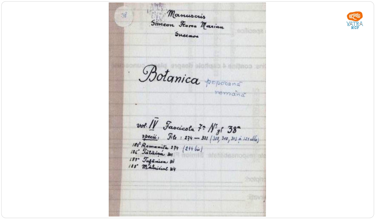 Botanica poporană română vol. IV, fascicola 7, specii: Romanița, Tătăișa, Mătriciul