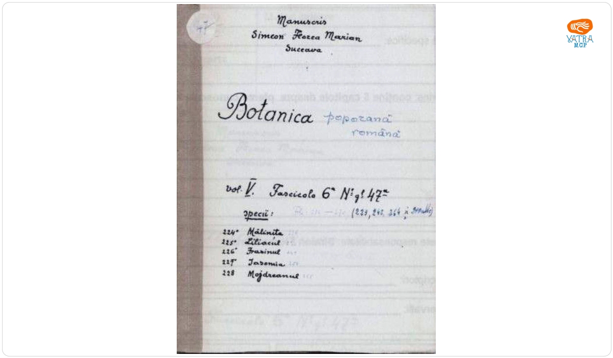 Botanica poporană română vol. V, fascicola 6, specii: Mălinița, Liliacul, Frasinul, Iasomia, Mojdreanul