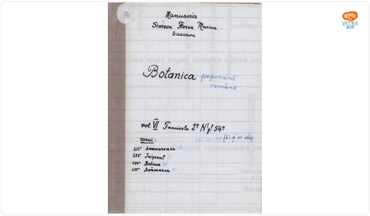 Botanica poporană română vol. VI, fascicola 2 specii: Somnoroasa, Inișorul, Avrămasca, Brînca