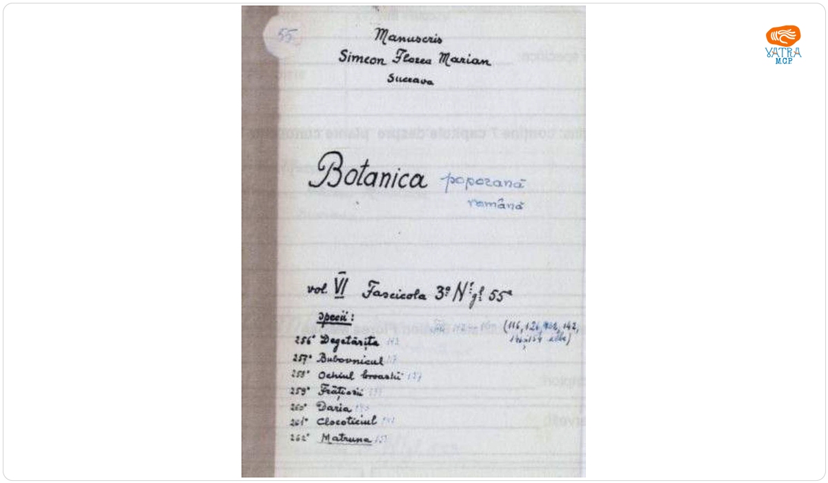 Botanica poporană română vol. VI, fascicola 3 specii: Degetărița, Bubovnicul, Ochiul broastii, Frățiorii, Daria, Clocoticiul, Matruna