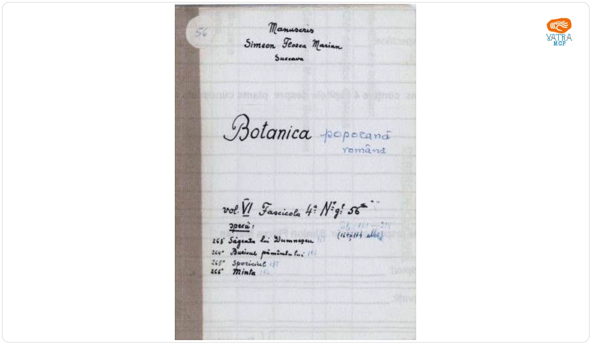 Botanica poporană română vol. VI, fascicola 4 specii: Săgeata lui Dumnezeu, Buricul pămăntului, Sporiciul, Minta