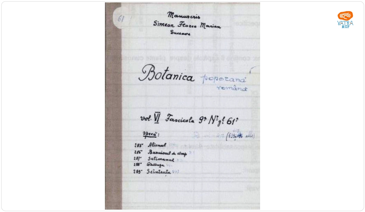 Botanica poporană română vol. VI, fascicola 9 specii: Alionul, Busuiocul de câmp, Sulimanul, Gălbaza, Scînteuță