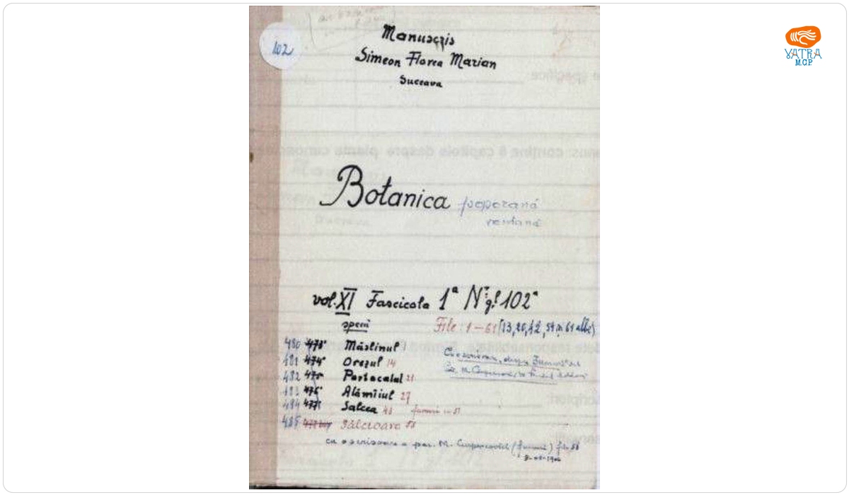 Botanica poporană română vol. X, fascicula 10: specii: Măslinul, Orezul, Portocalul, Alămîiul, Salcea, Sălcioara