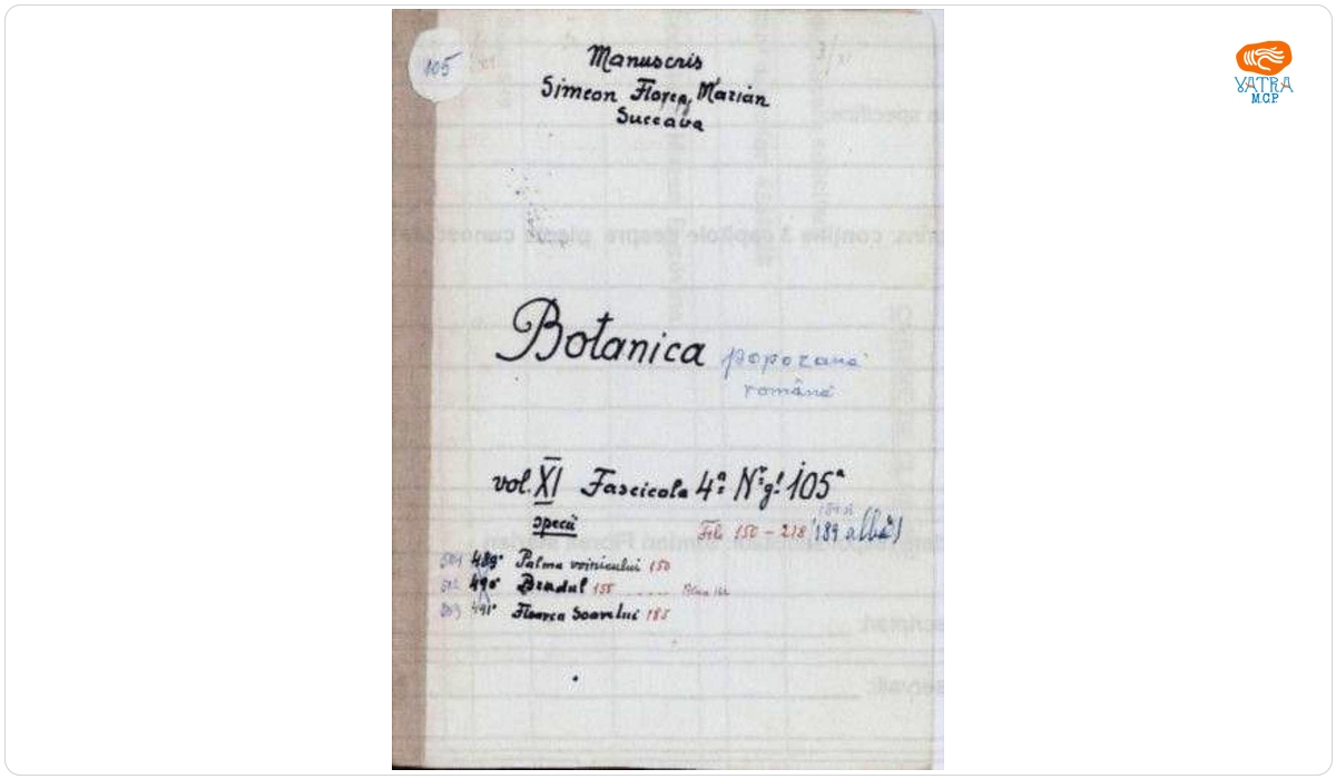 Botanica poporană română vol. XI, fascicola 4 specii: Palma voinicului, Bradul, Floarea soarelui