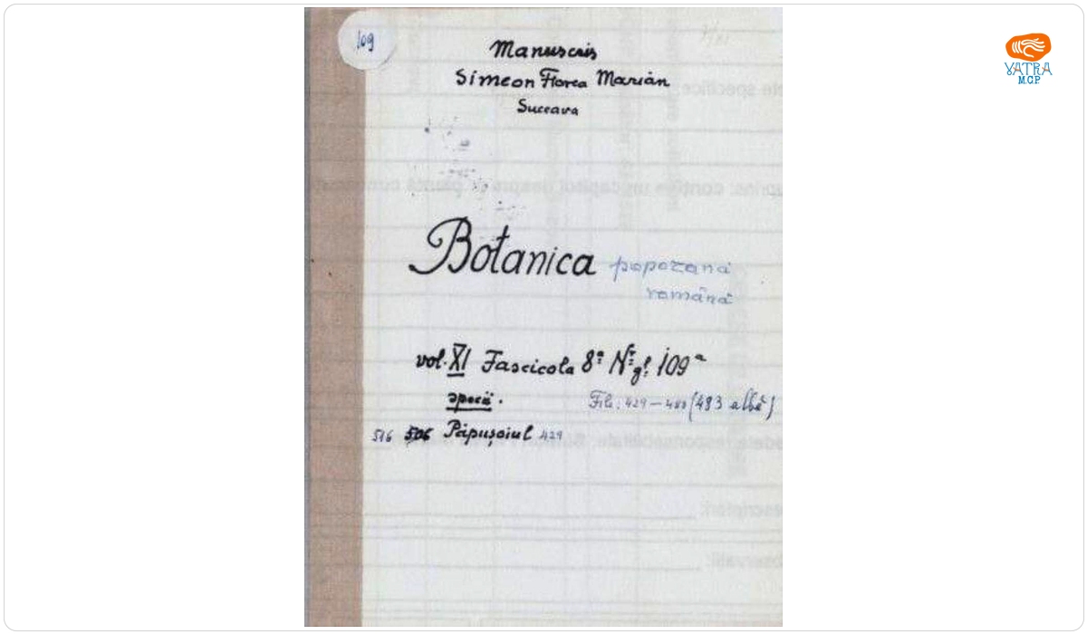 Botanica poporană română vol. XI, fascicola 8 specii: Păpușoiul