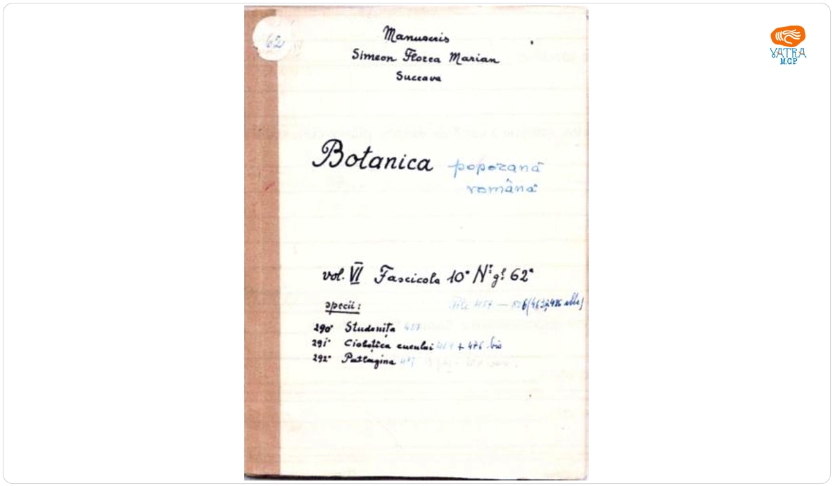 imion Florea Marian — Botanică poporană: vol. VI, fascicola 10: specii: Studenița, Ciobotîca cucului, Patlagina