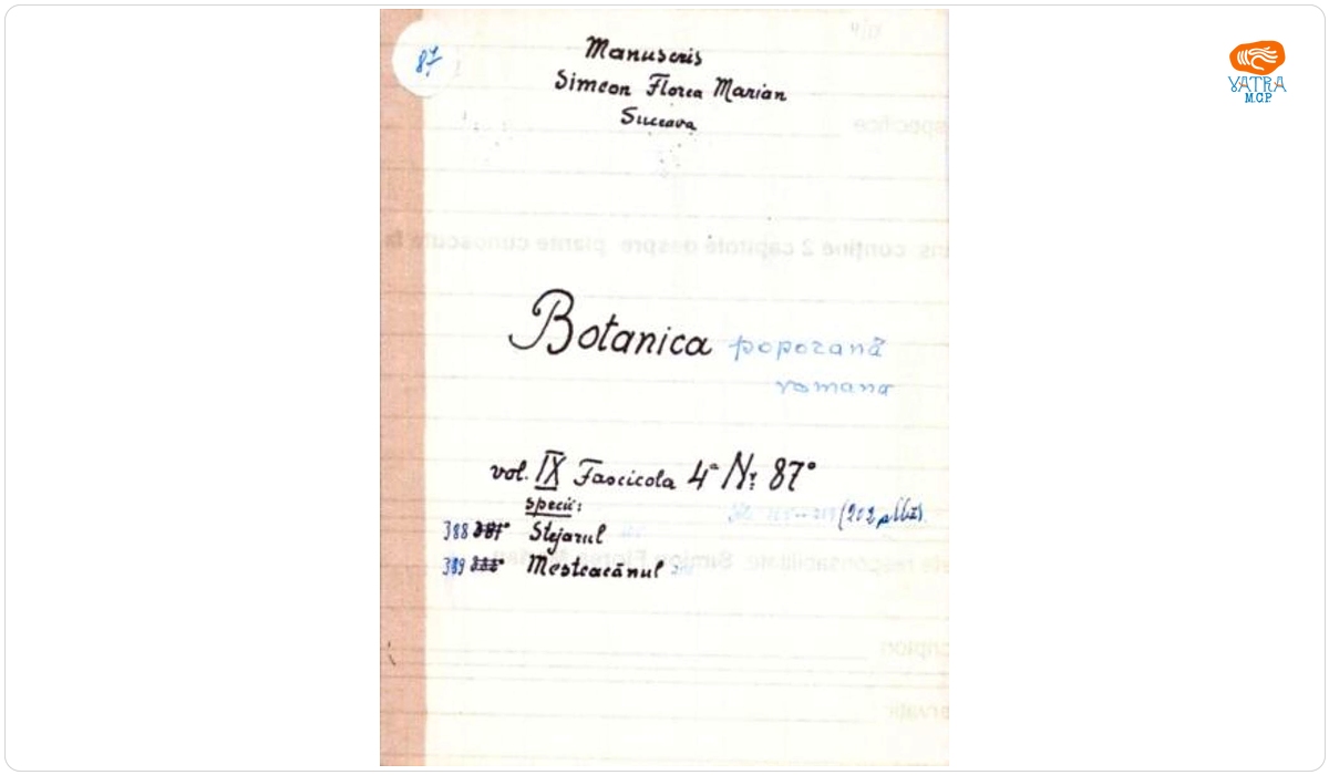 Botanică poporană: vol. IX, fascicola 4: specii: Stejarul, Mesteacănul