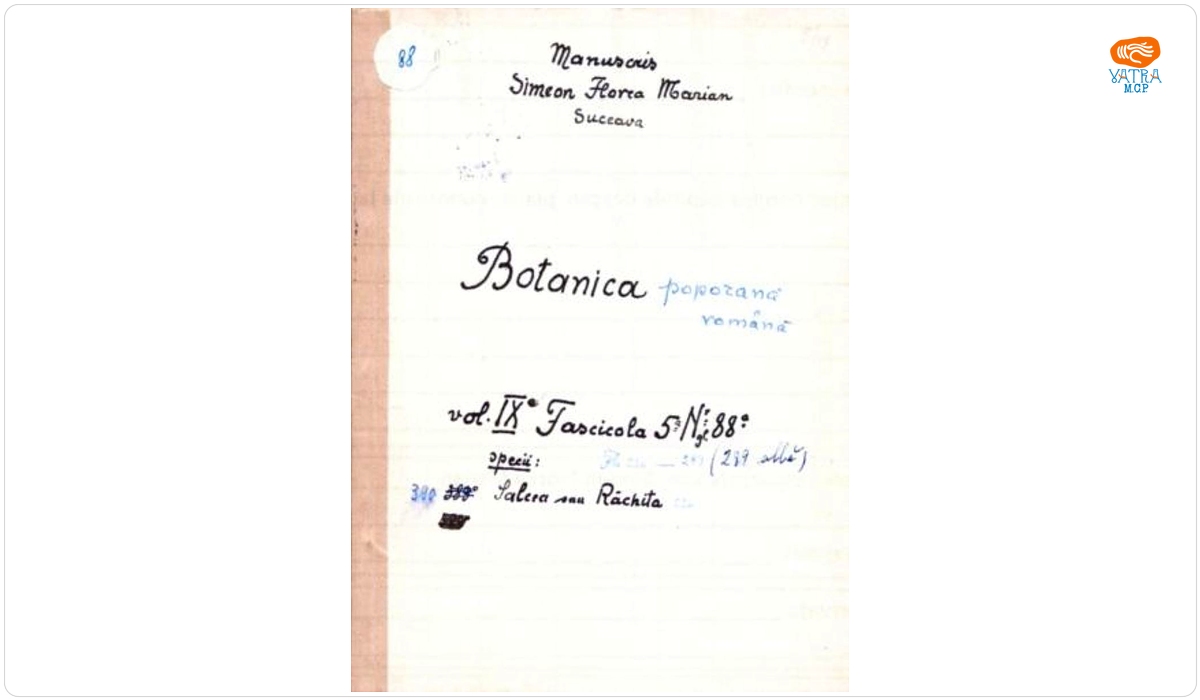 Botanică poporană: vol. IX, fascicola 5: specii: Salcea sau Răchita