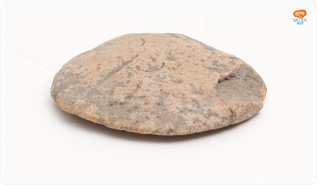 Material brut