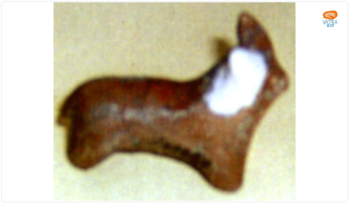 Taur