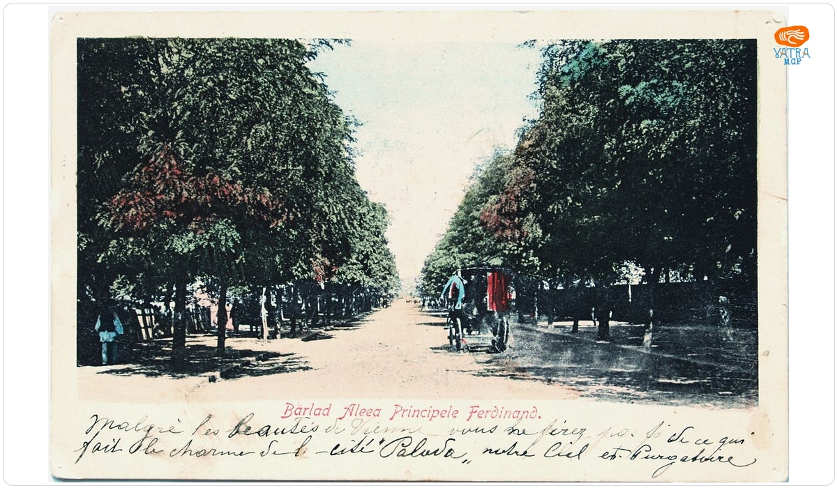 Bârlad - Aleea Principele Ferdinand