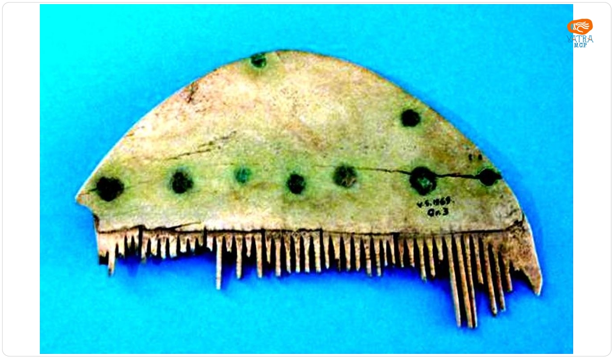Pieptene