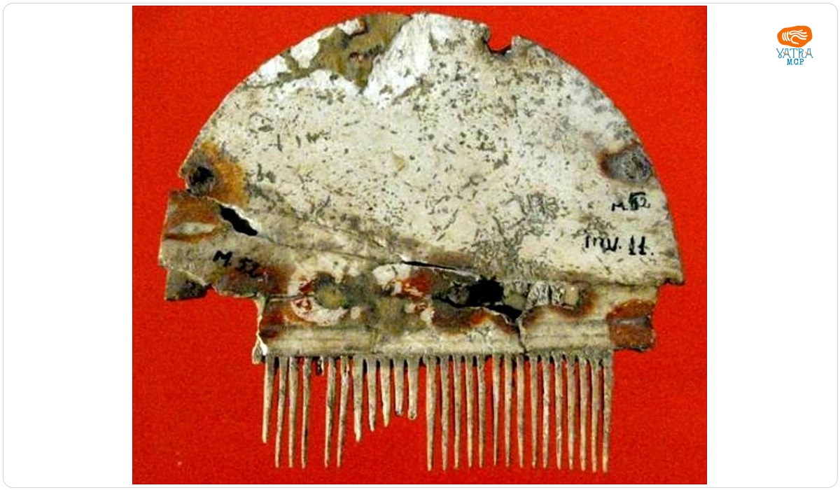 Pieptene