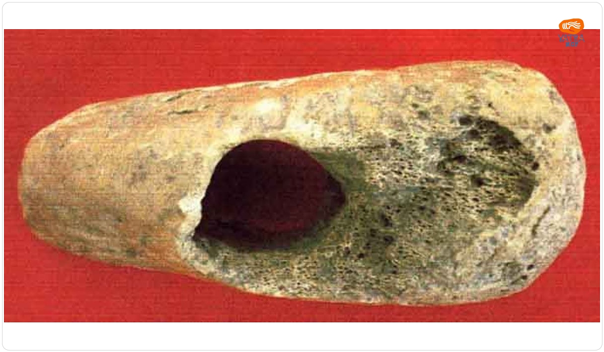 Săpăligă