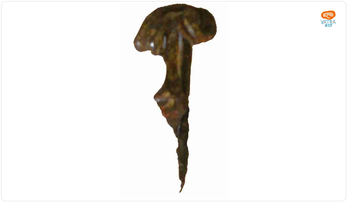 Fibulă