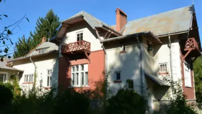 Conacul Rosetti-Brăescu din Măgura, Bacau