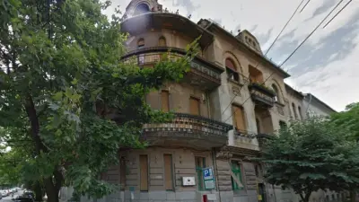 Palatul Dr. Adolf Vértes  dinTimișoara, Timiș