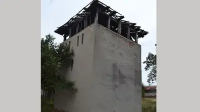 Cula lui Costea din Frăsinet, Teleorman