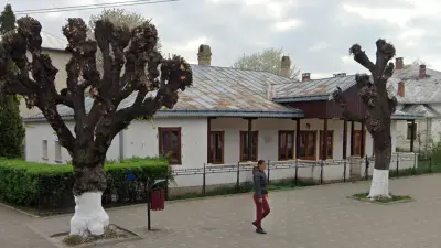 Casa scriitorului Nicolae Istrati din Fălticeni, Suceava