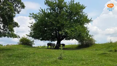 Crețișoara, Câmpulung Muscel. Dealul de belvedere al Muscelului